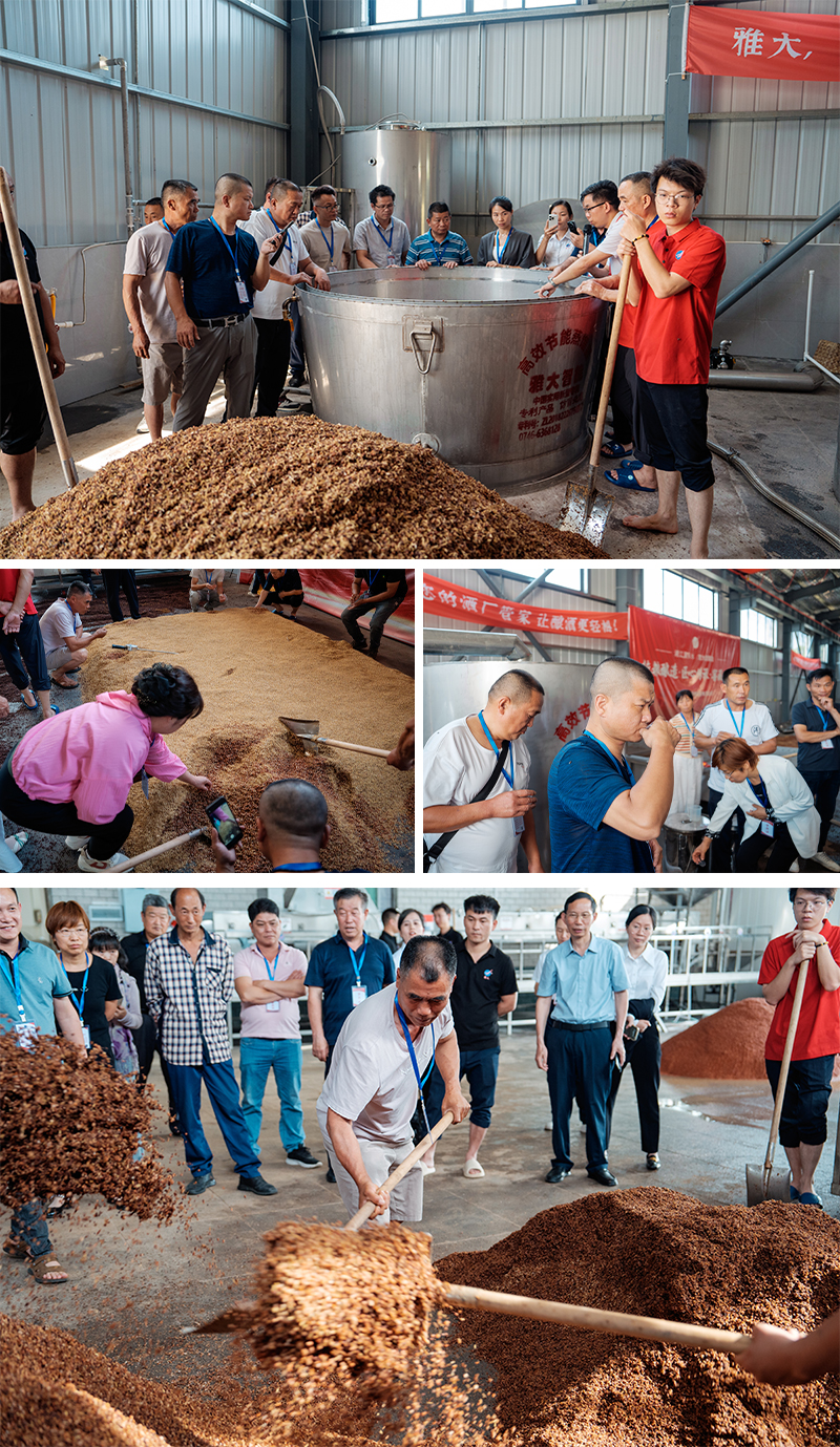 雅大实操与理论相结合